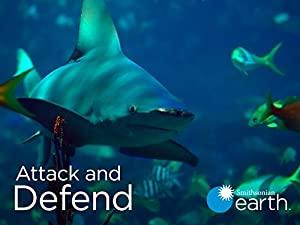 Attack and Defend Series 1 6of6 Underwater Warriors 1080p HDTV x264 AAC