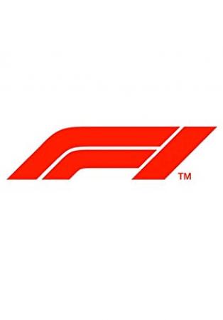 Formula 1  2017 British Grand Prix Silverstone Circuit HDTV x264 mp4