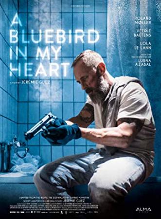 A Bluebird In My Heart 2018 iTALiAN BDRiP XviD-PRiME[MT]