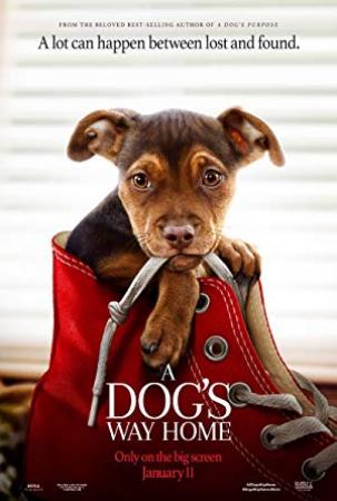 A Dogs Way Home 2019 1080p BluRay x264 DTS-HD MA 5.1-MT