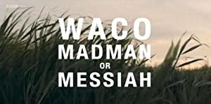Waco - Madman or Messiah (2018) Season 1 S01 (1080p AMZN WEB-DL x265 HEVC 10bit AAC 2.0 Silence)