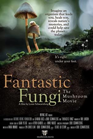 Fantastic Fungi (2019) [1080p] [WEBRip] <span style=color:#fc9c6d>[YTS]</span>
