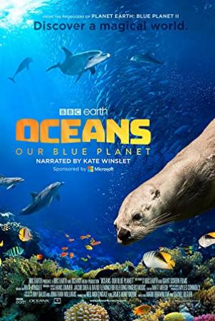 Oceans Our Blue Planet 2018 2160p UHD HDR BluRay (x265 10bit DD 5.1) [WMAN-LorD]