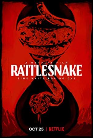 Rattlesnake (2019) 1080p WEB-DL x265 10bit HEVC Dual Audio [Hindi DD 5.1 + English DA5 1] MSubs 1.60GB [te]
