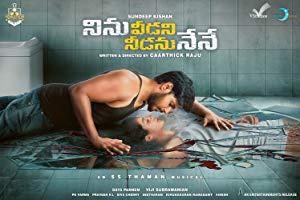 Ninu Veedani Needanu Nene (2019) Telugu DVDScr x264 MP3 700MB